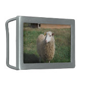 Young White Sheep on the Farm Rectangular Belt Buckle (Front Left)
