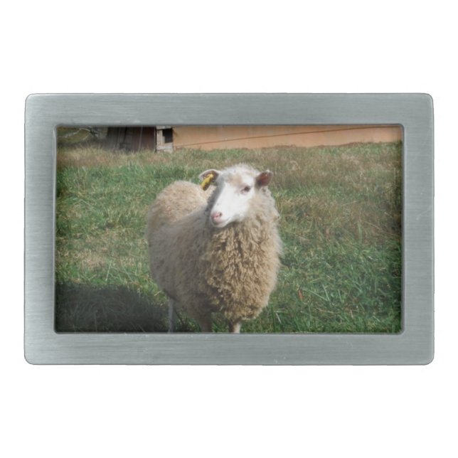 Young White Sheep on the Farm Rectangular Belt Buckle (Front)