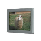 Young White Sheep on the Farm Rectangular Belt Buckle (Front Right)