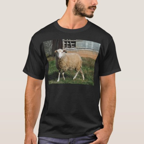 Young White Sheep on the Farm T_Shirt