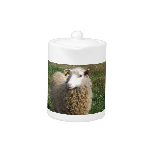 Young White Sheep on the Farm Teapot