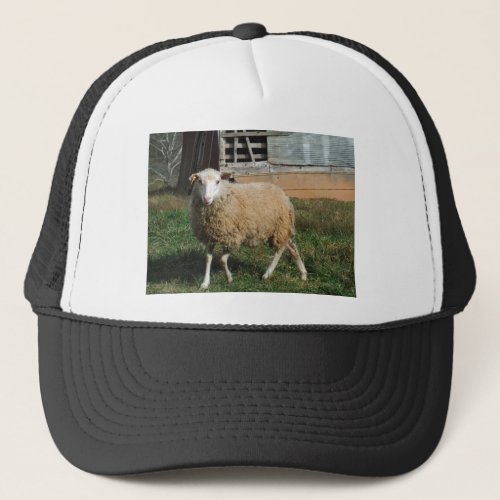 Young White Sheep on the Farm Trucker Hat