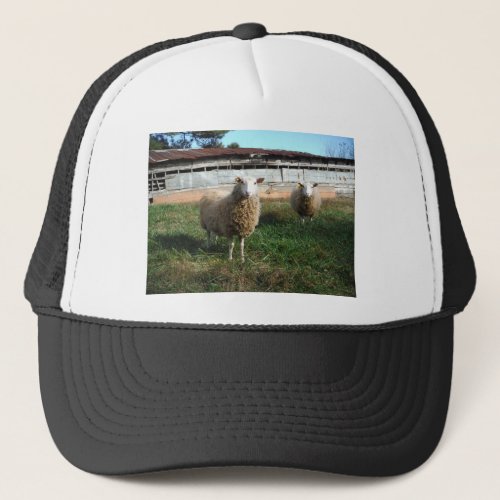Young White Sheep on the Farm Trucker Hat