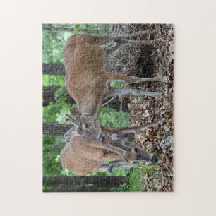Young Whitetail Deer Bucks In Velvet Jigsaw Puzzle