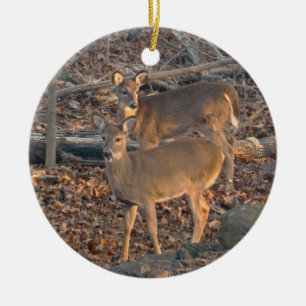 Young Whitetail Deer Christmas Ornament