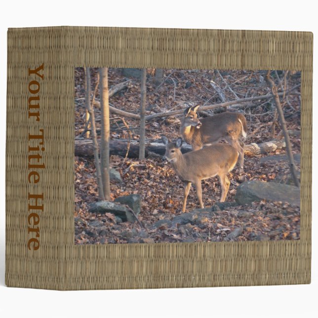 Young Whitetail Deer Series 3 Ring Binder (Front/Spine)