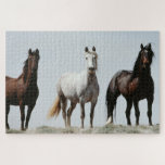 Young Wild Stallions Jigsaw Puzzle