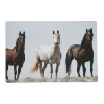 Young Wild Stallions Placemat