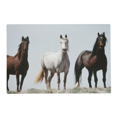 Young Wild Stallions Placemat