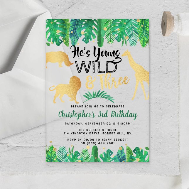 Young Wild & Three Boys Third Birthday Acrylic Invitations (Creator Uploaded)