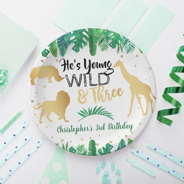 Young Wild & Three Boys Third Birthday Paper Plates (Creator Uploaded)