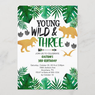 Young Wild & Three Dinosaur 3rd Birthday Invitatio Invitation