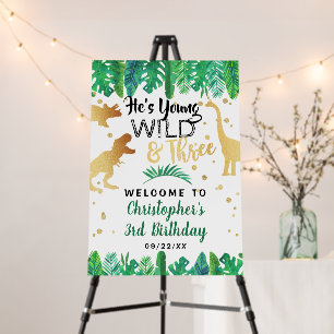 Young Wild & Three Dinosaur Boys 3rd Birthday Foam Board