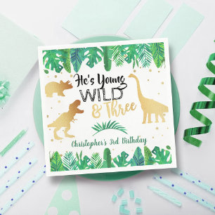 Young Wild & Three Dinosaur Boys 3rd Birthday Napkins