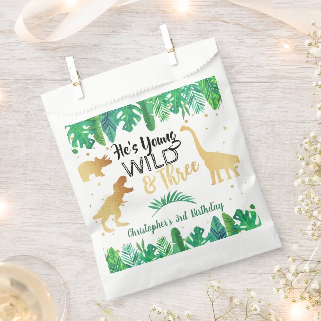 Young Wild & Three Dinosaur Boys Third Birthday Favor Bag (Clipped)