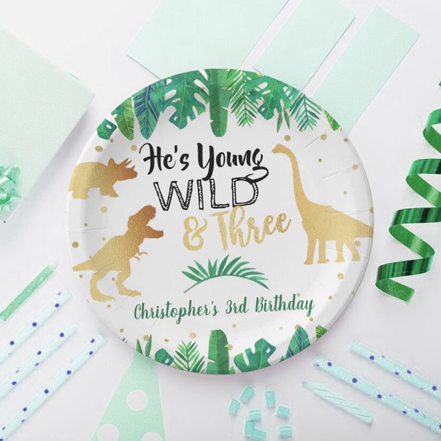 Young Wild & Three Dinosaur Boys Third Birthday Paper Plates (Creator Uploaded)