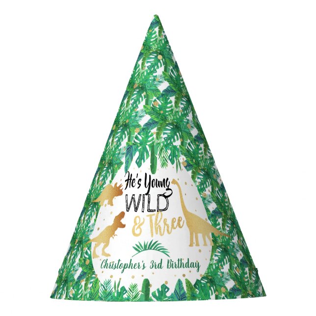 Young Wild & Three Dinosaur Boys Third Birthday Party Hat (Front)