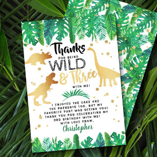 Young Wild & Three Dinosaur Boys Third Birthday Thank You Card