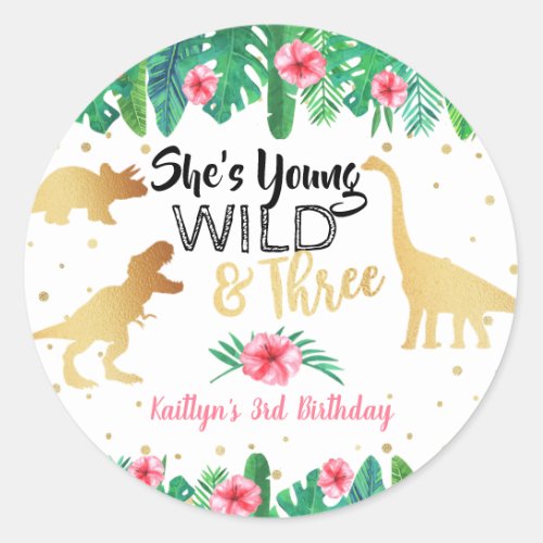 Young Wild  Three Dinosaur Girls Third Birthday Classic Round Sticker