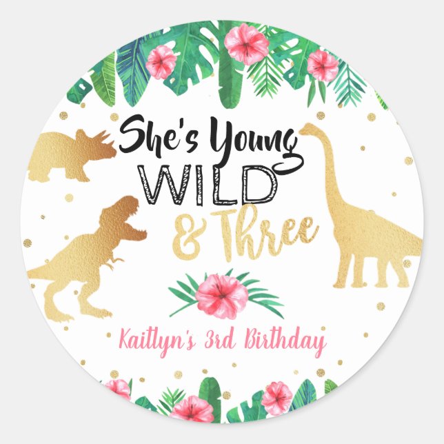 Young Wild & Three Dinosaur Girls Third Birthday Classic Round Sticker (Front)