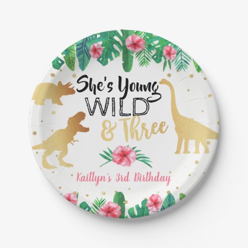 Young Wild  Three Dinosaur Girls Third Birthday Paper Plates