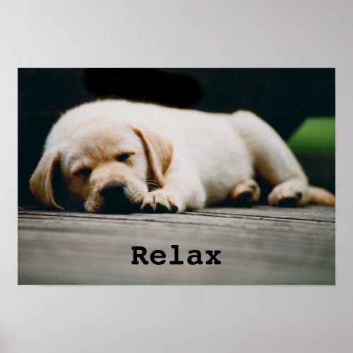 Young Yellow Labrador Puppy Sleeps Soundly Poster