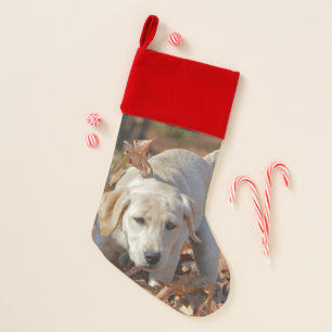 Young Yellow Labrador Retriever Puppy Christmas Stocking
