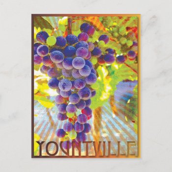 Yountville California Grape Cluster Postcard by AnyTownArt at Zazzle