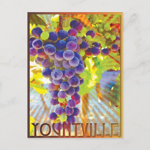 Yountville California Grape Cluster Postcard
