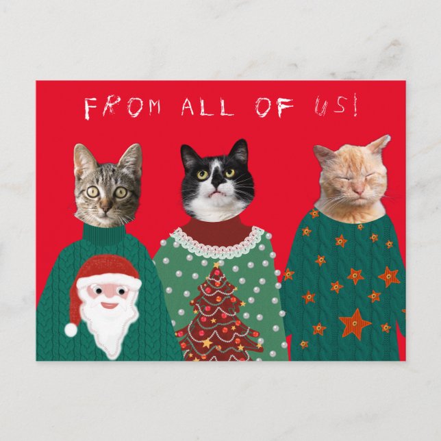 Your 3 Cats in Ugly Christmas Sweaters Postcard (Front)