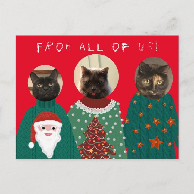 Your 3 Cats in Ugly Christmas Sweaters Postcard (Front)