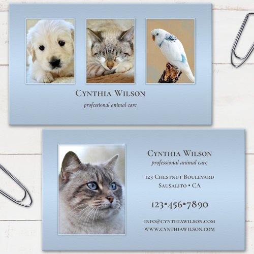 Your 4 Photos Animal Clinic or Care Dusty Blue Business Card