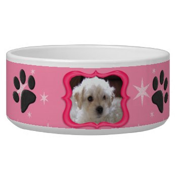 Your A Star Dog Dish - Customize Photo by Diva_Pets at Zazzle