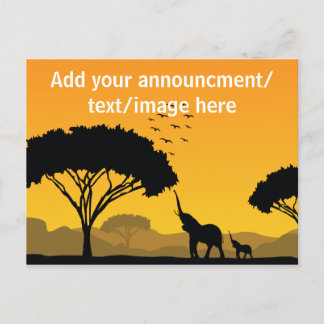 Your announcment/design postcard