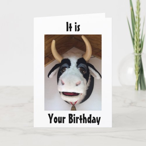 YOUR BIRTHDAY IS ALWAYS SOMETHING TO MOO ABOUT CARD