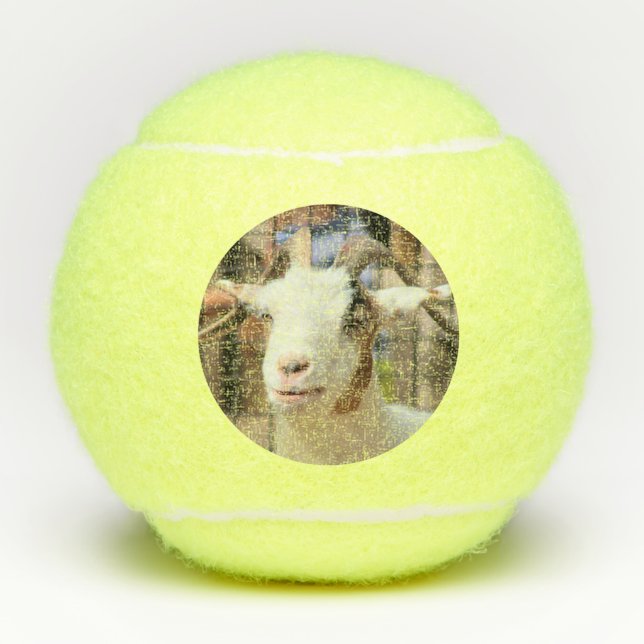 Your camera looks tasty tennis balls (Front)