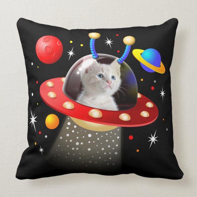 pillow of your cat