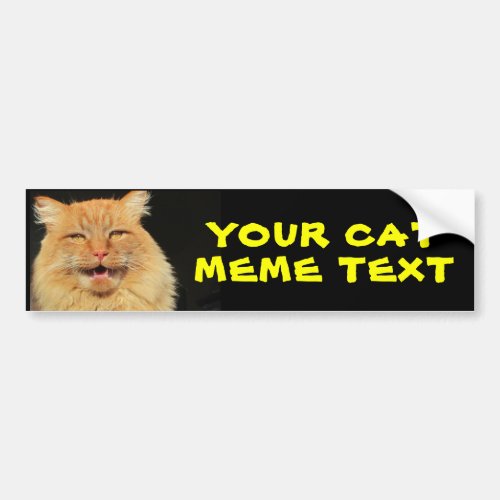 Your Cat Meme Text Bumper Sticker