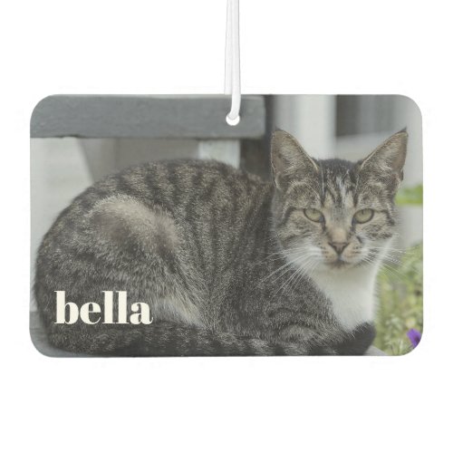 Your Cat Name and Pet Photo Template Air Freshener