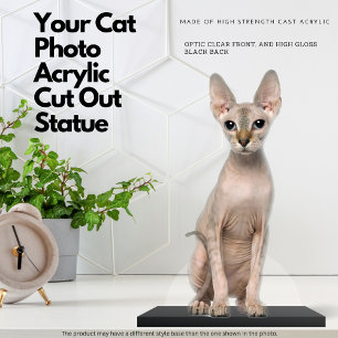 Your Cat Photo Acrylic Cut Out Statue