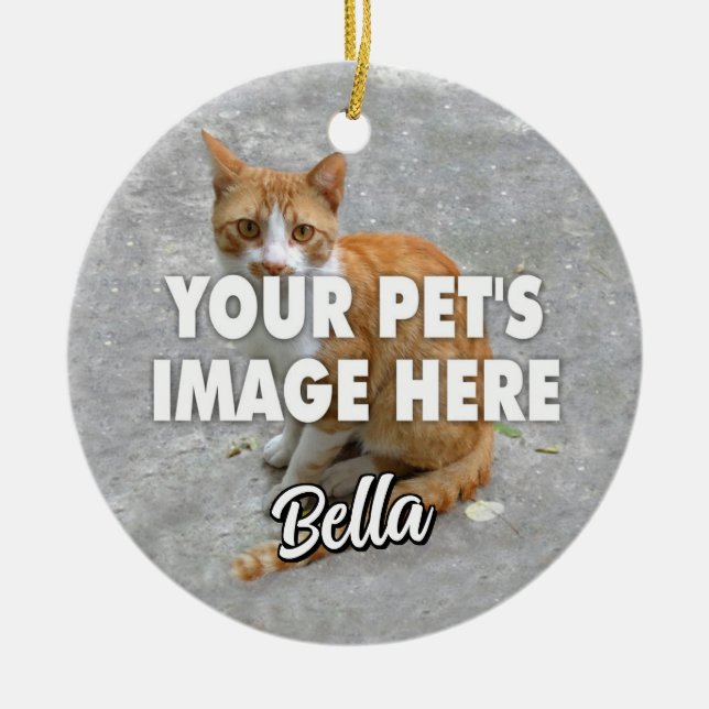 Your Cat Photo Ceramic Ornament (Front)