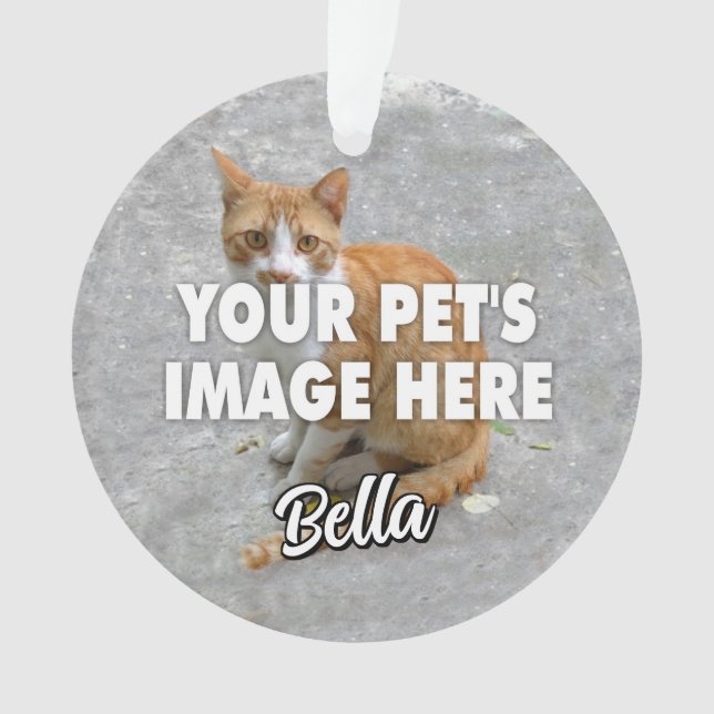 Your Cat Photo Ornament (Front)