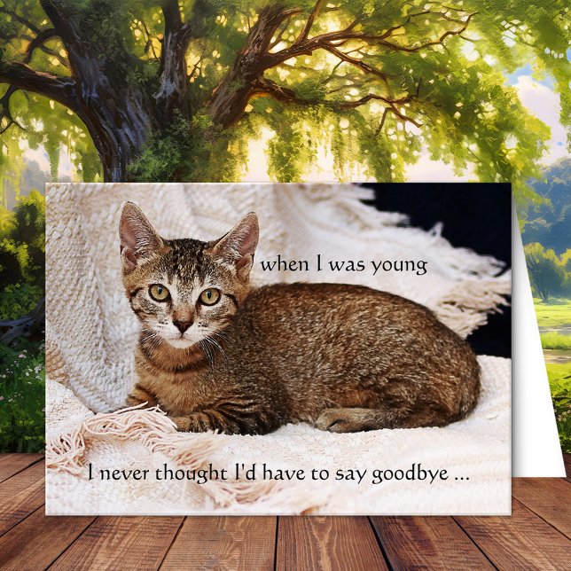 Your Cat Photo Sympathy Greeting Card (Cat sympathy custom photo condolences greeting card)