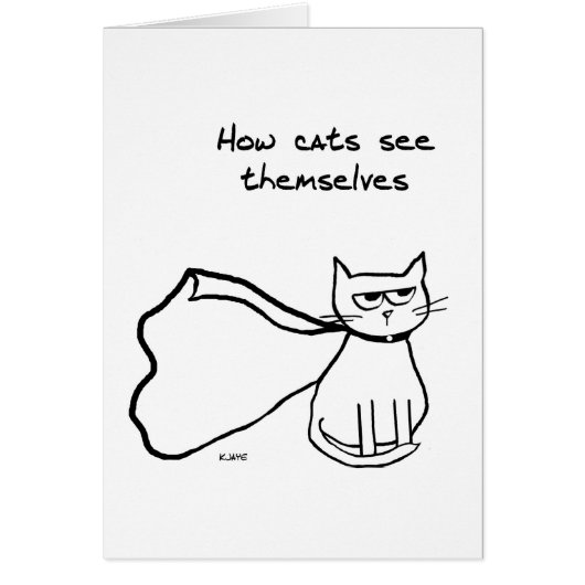 Your Cat the Superhero - Funny Cat Gift Cards (Front)
