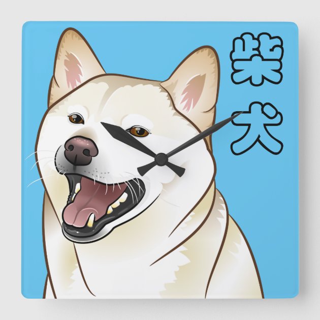 Adirondack shibas sales