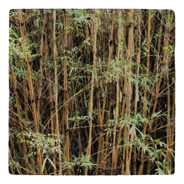 Your Custom Bamboo Marble Stone Trivet (Front)