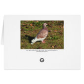 Your Custom Greeting Card (Back Horizontal)