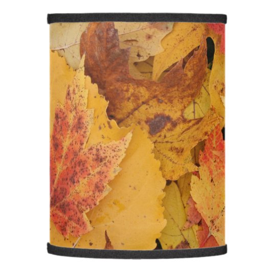 Your Custom Lamp Shade (Only) (Left)