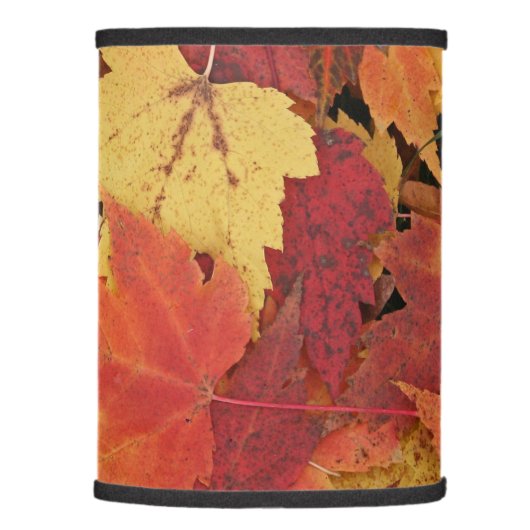 Your Custom Lamp Shade (Only) (Right)