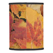 Your Custom Lamp Shade (Only) (Back)